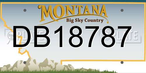 DB18787 Montana License Plate