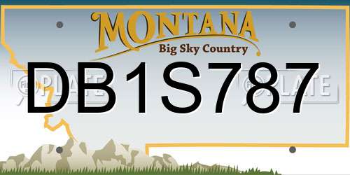 DB1S787 Montana License Plate