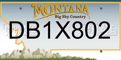 DB1X802 Montana License Plate