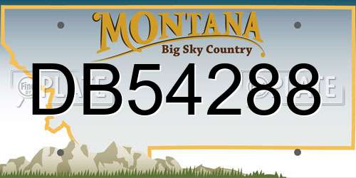 DB54288 Montana License Plate