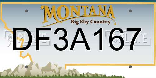 DF3A167 Montana License Plate