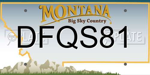 DFQS81 Montana License Plate