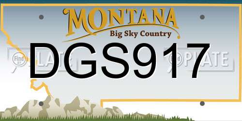 DGS917 Montana License Plate
