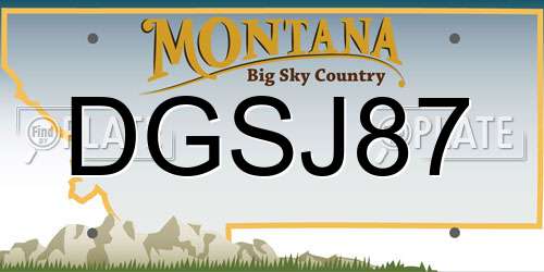 DGSJ87 Montana License Plate