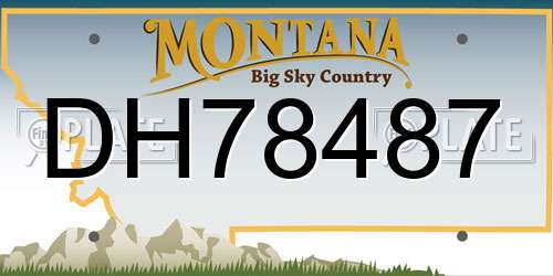 DH78487 Montana License Plate
