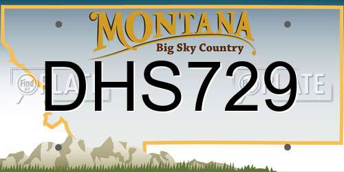 DHS729 Montana License Plate