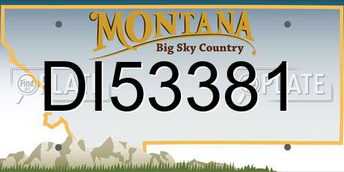 DI53381 Montana License Plate