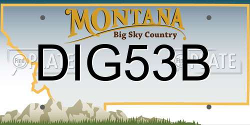 DIG53B Montana License Plate