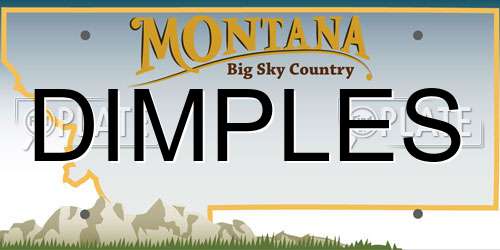 DIMPLES Montana License Plate