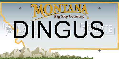 DINGUS Montana License Plate
