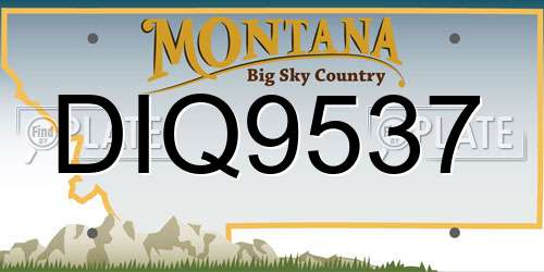 DIQ9537 Montana License Plate