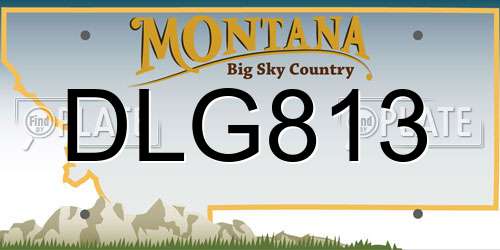 DLG813 Montana License Plate