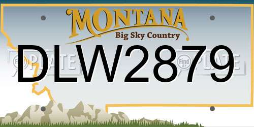 DLW2879 Montana License Plate