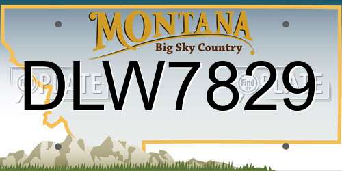 DLW7829 Montana License Plate