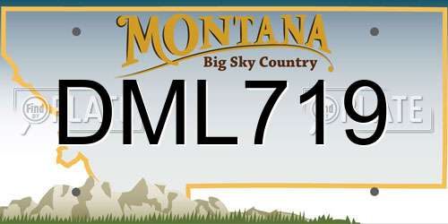 DML719 Montana License Plate