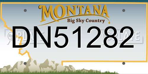 DN51282 Montana License Plate