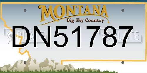 DN51787 Montana License Plate