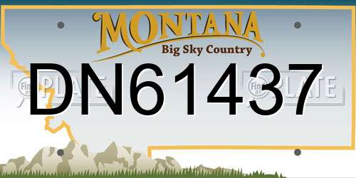 DN61437 Montana License Plate