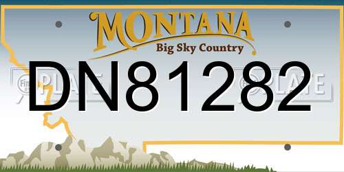 DN81282 Montana License Plate