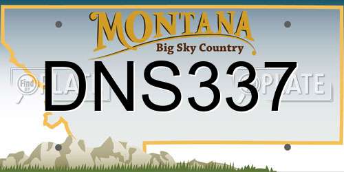 DNS337 Montana License Plate