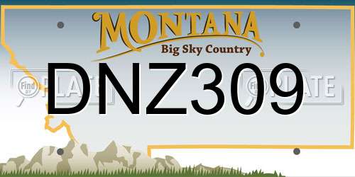 DNZ309 Montana License Plate