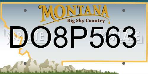 DO8P563 Montana License Plate