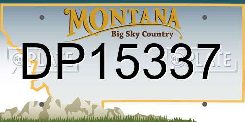 DP15337 Montana License Plate