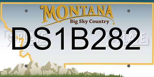 DS1B282 Montana License Plate