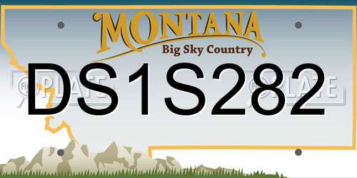 DS1S282 Montana License Plate