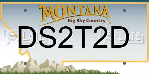 DS2T2D Montana License Plate