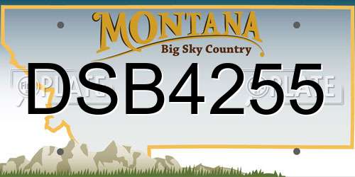 DSB4255 Montana License Plate