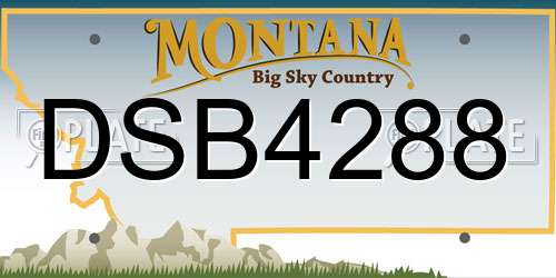 DSB4288 Montana License Plate
