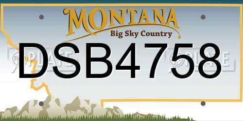 DSB4758 Montana License Plate