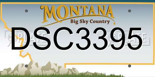 DSC3395 Montana License Plate