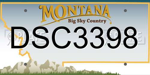 DSC3398 Montana License Plate