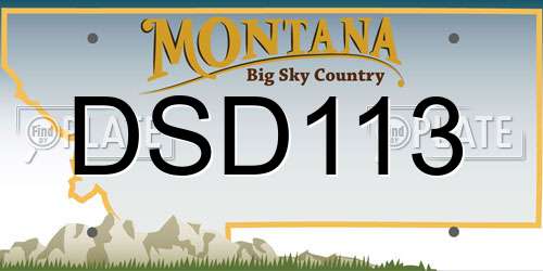 DSD113 Montana License Plate