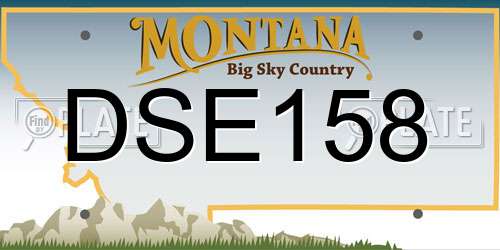 DSE158 Montana License Plate