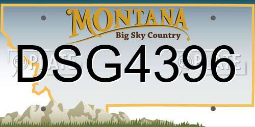 DSG4396 Montana License Plate