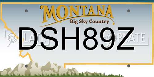 DSH89Z Montana License Plate