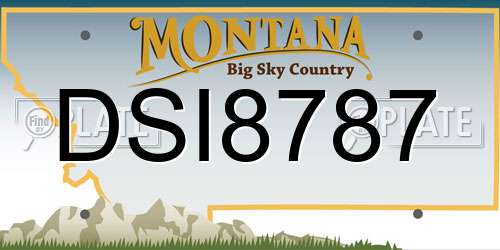 DSI8787 Montana License Plate