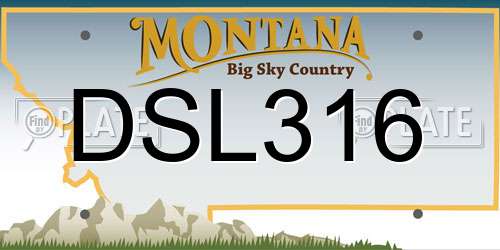 DSL316 Montana License Plate