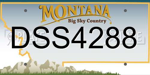 DSS4288 Montana License Plate
