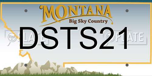 DSTS21 Montana License Plate