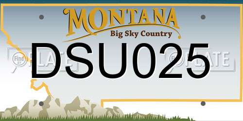 DSU025 Montana License Plate