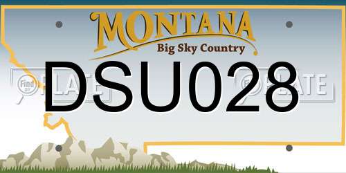 DSU028 Montana License Plate