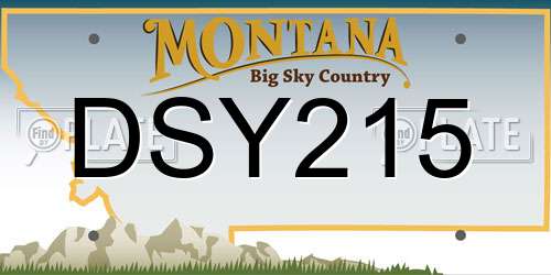 DSY215 Montana License Plate