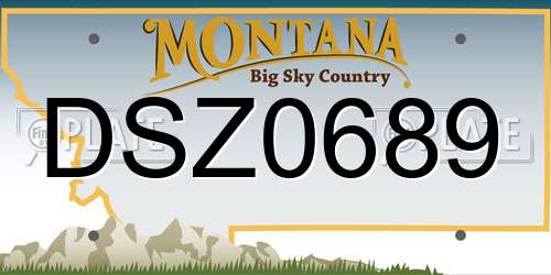 DSZ0689 Montana License Plate