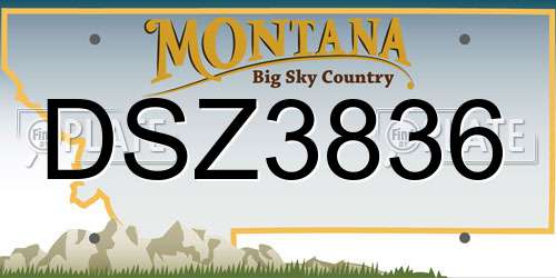DSZ3836 Montana License Plate