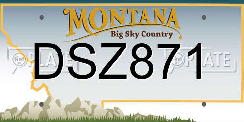 DSZ871 Montana License Plate