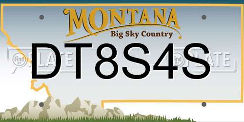 DT8S4S Montana License Plate